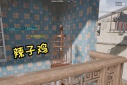 绝地求生鸟笼竹子任务怎么做？完成任务需要哪些步骤？