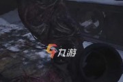 生化危机8胶片顺序攻略是什么？如何正确排序获取最佳游戏体验？