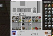 《我的世界技能书使用攻略指南》（掌握技能书使用）