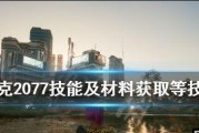 探索赛博朋克2077（探索赛博世界的未来科技——黑客流玩法和义体选择）