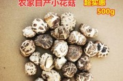 超级蘑菇VS细菌第一关通关攻略（化身超级蘑菇）