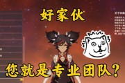 辛焱培养指南（解析原神中辛焱的技能、天赋与武器选择）