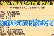 迷你世界中猪如何驯服成为坐骑？需要哪些步骤？