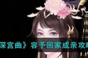 《深宫曲容予》攻略大揭秘（玩转深宫）