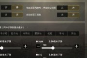 绝地求生中无枪队形如何设置？设置方法是什么？