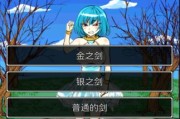 魔王的捣蛋（勇者）