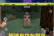 我的世界神奇宝贝牧场方块攻略（以游戏为主）