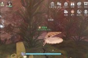 揭秘天谕手游苏澜灵隐箱子的宝箱位置（天谕手游中的隐藏宝箱藏匿何处）