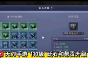 天涯明月刀手游唐门砭石选择指南：哪种最适合自己？