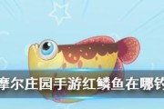 摩尔庄园钓鱼攻略：钓鱼技巧、道具推荐及地点解析