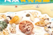 食之契约针海螺技能介绍（海洋冒险的必备技能）