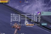 《山海侍从》攻略（探究侍从武器选择的关键因素）
