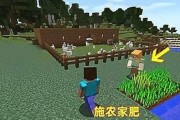 我的世界小麦种子用途攻略（解析小麦种子的各种用途）