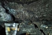 《刀塔西游》龟仙出装技能和装备详解（打造完美龟仙）