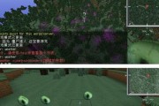 我的世界（怎样逃离末地）