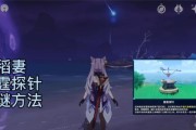 原神雷霆探针解密进阶攻略？如何快速掌握雷霆探针的使用技巧？