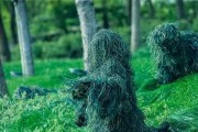 征服荣誉勋章2024秘籍，成为无敌战士（秘技揭秘）