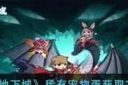 提灯与地下城宠物派遣技巧有哪些？如何选择最佳宠物进行派遣？
