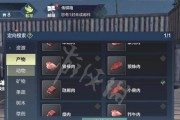 《妄想山海》开局最佳升级路线详细攻略一览（探索最优游戏路线）