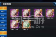 《天天炫斗布鲁技能搭配布鲁连招小技巧》（掌握布鲁技能搭配）