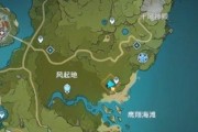 《原神》云顶三只鸟攻略完美指南（雪山之巅）