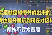 山海灵蕴最佳搭配指南（搭建属于你的强大灵蕴团队）