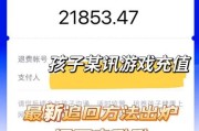 宠物地下城充值后如何退款？退款流程是怎样的？