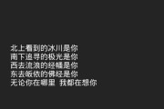 《爱情岛》（在这里寻找真爱）