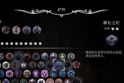培养多技能的宝宝（探索多元发展的关键技巧）