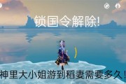 原神封号机制揭秘（原神封号机制规则及其关键作用）