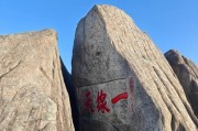 九华老虎宠物选择技巧有哪些？