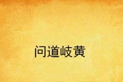岐黄问道商城的进入方式和使用指南是什么？