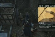 《刺客信条4》捕杀鲸鱼攻略（在哪里找到鲸鱼）