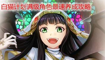 白猫计划角色排名大揭秘（哪个角色最优秀）