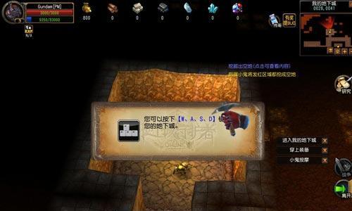 《以地下城守护者1秘籍攻略集锦》（玩转游戏）