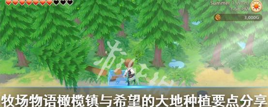 探索大地豆藤岛（游戏攻略）