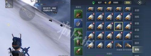 妄想山海化灵鲲进化攻略（如何让你的化灵鲲变得更强大）