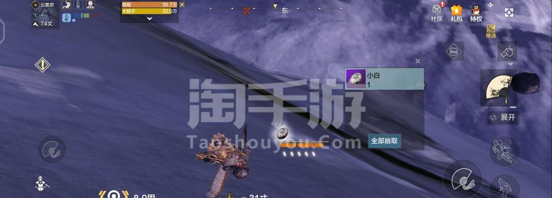 《山海侍从》攻略（探究侍从武器选择的关键因素）
