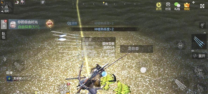 妄想山海新区龙骨草采集大揭秘（游戏玩家必看）