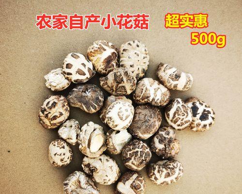 超级蘑菇VS细菌第一关通关攻略（化身超级蘑菇）