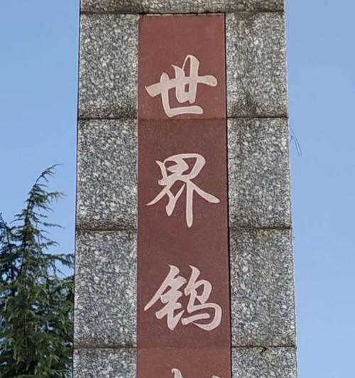 《探索泰拉瑞亚中的钨制短剑》（泰拉瑞亚钨制短剑ID和属性详解）