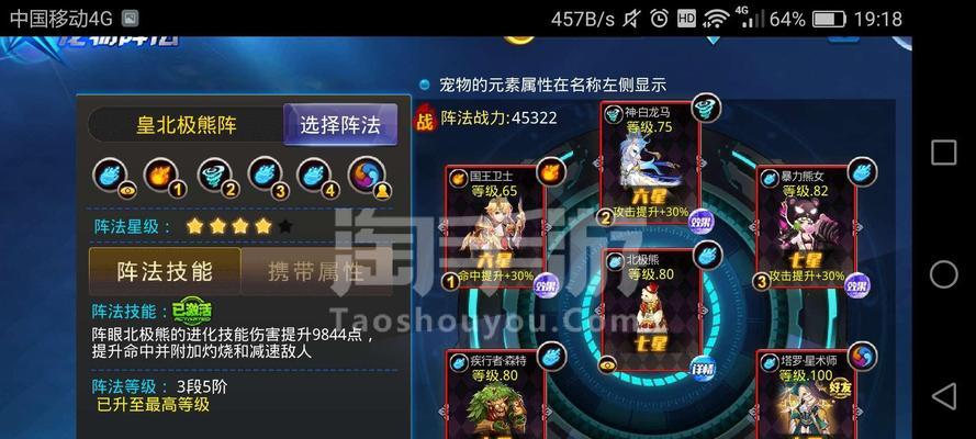 《天天炫斗布鲁技能搭配布鲁连招小技巧》（掌握布鲁技能搭配）