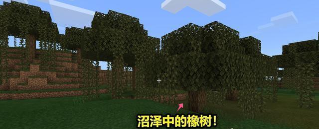 我的世界巨型橡树种植技巧攻略（从零开始成为巨型橡树种植专家）
