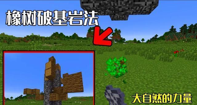我的世界巨型橡树种植技巧攻略（从零开始成为巨型橡树种植专家）