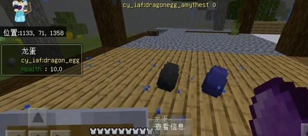 《我的世界手机版龙蛋孵化攻略》（孵化龙蛋的方法）