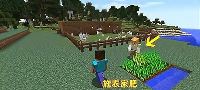我的世界小麦种子用途攻略（解析小麦种子的各种用途）