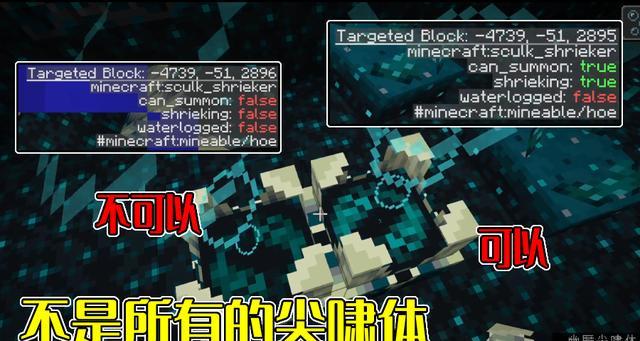 我的世界幽匿块的作用与获得方法（全面解析幽匿块在游戏中的应用和获取技巧）