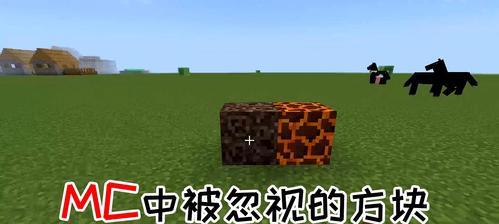 《我的世界》游戏地形生存攻略（探索不同地形）
