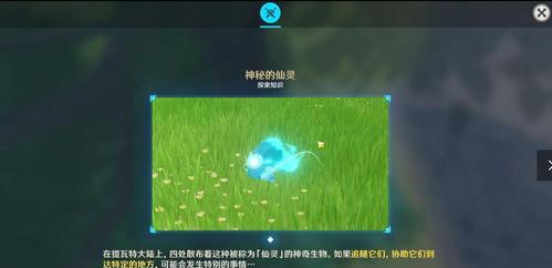 原神土豆的多种用途揭秘（解锁原神土豆的秘密）