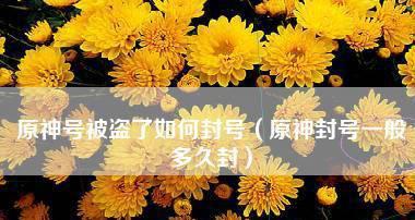 原神封号机制揭秘（原神封号机制规则及其关键作用）